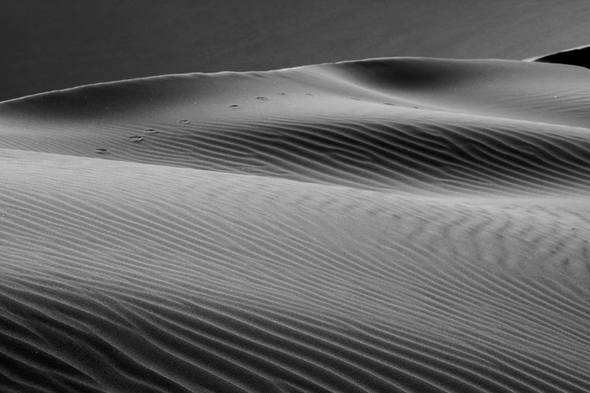 Banzaro Coming Soon Background